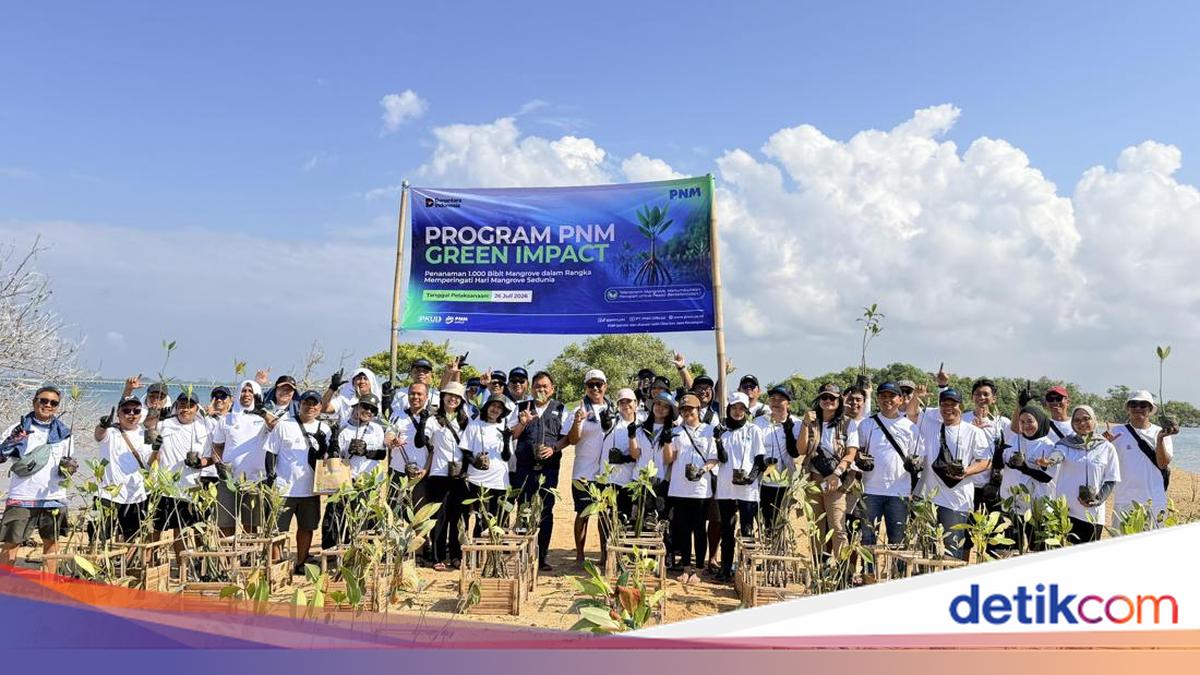 PNM Gandeng Pemda-Komunitas Tanam 2.000 Mangrove di 18 Kawasan Pesisir
