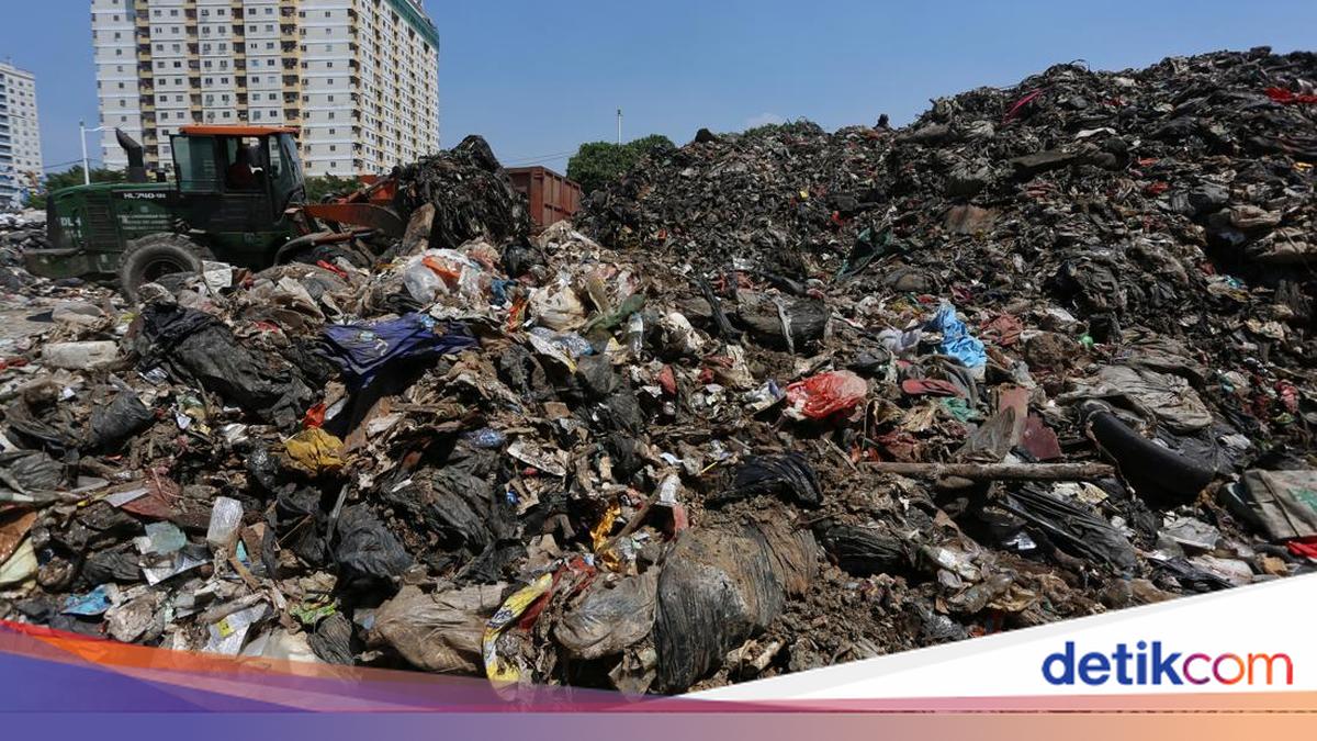 Swasta Timbun Sampah di RTH Penjaringan, Pram Minta Pelaku Diproses Hukum