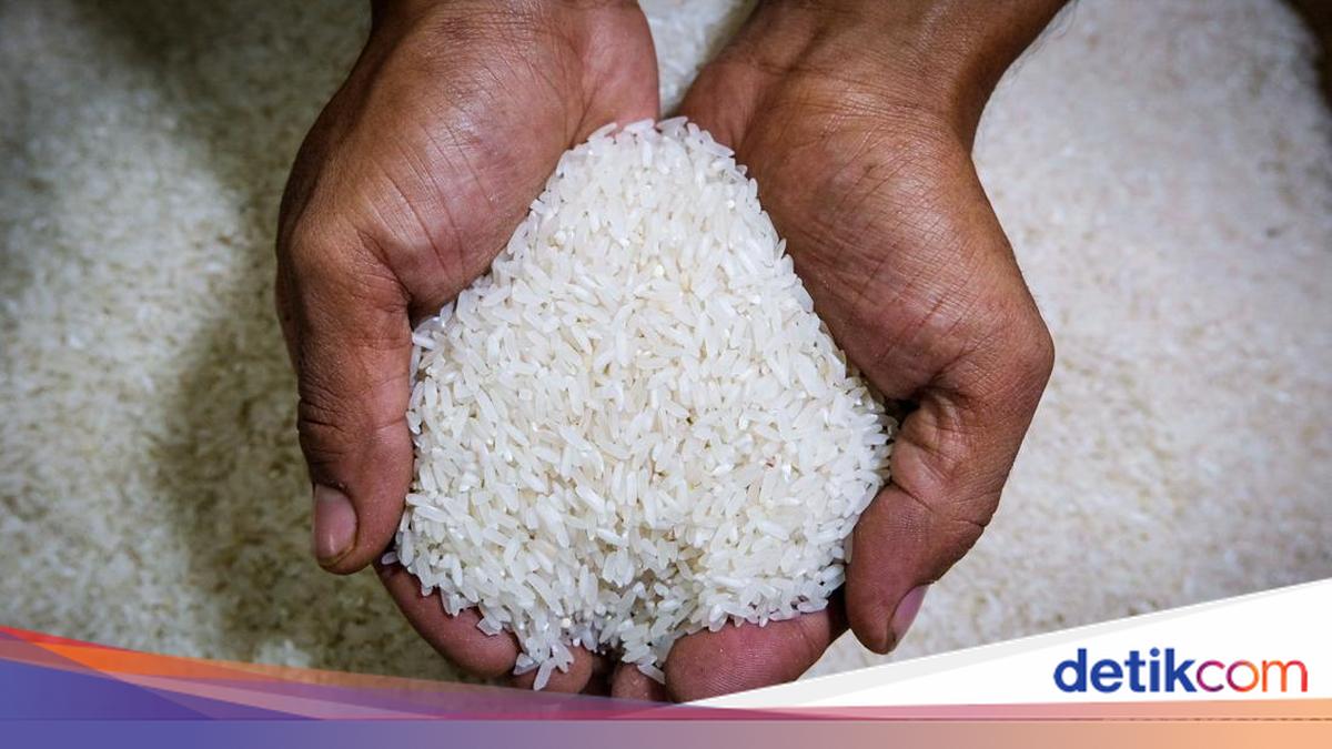 Stok Beras NTT 39.000 Ton Dipastikan Cukup buat Penuhi Kebutuhan Korban Gempa