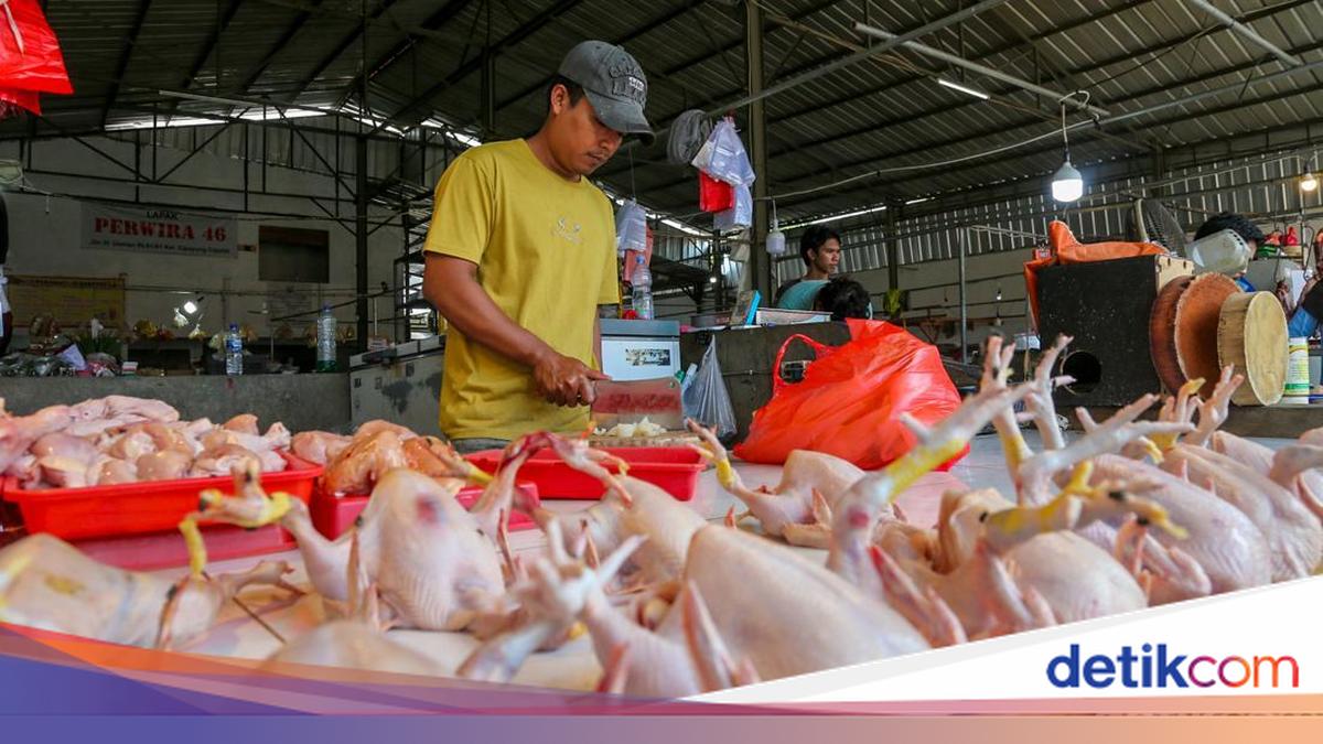 Pemerintah Pastikan Beras hingga Daging Ayam dalam Kondisi Surplus