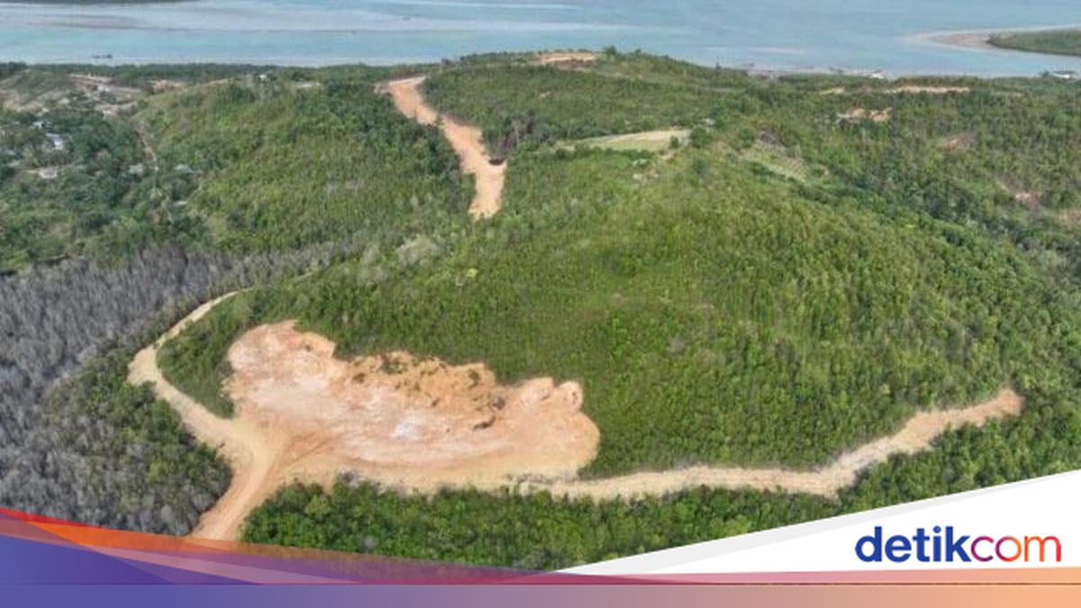Kemenhut Jerat PT GTP Tersangka Perambahan Hutan di Kepri, Terancam 10 Tahun Bui