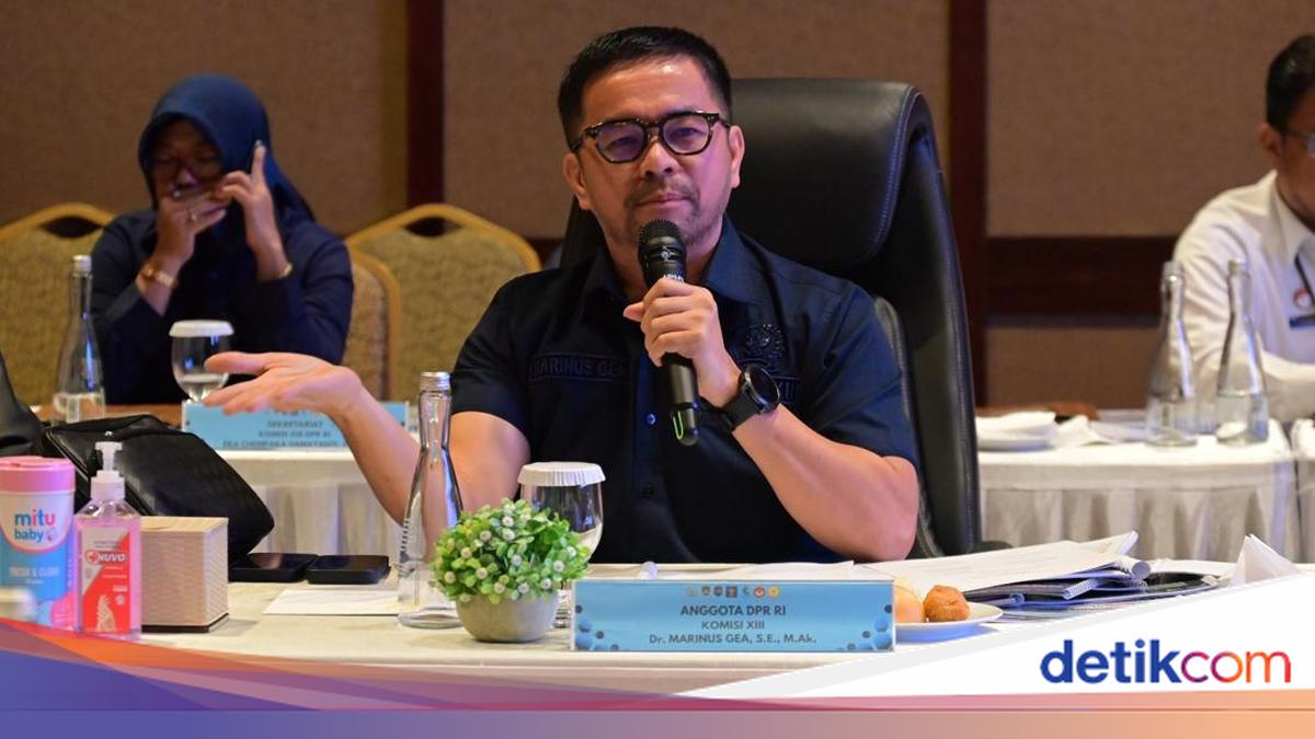 Anggota Komisi XIII Soroti Trauma Anak Korban Aksi Kekerasan Massa di Bali