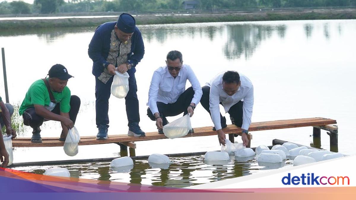 Satgas PRR Pulihkan Tambak dan Kebun Kopi untuk Percepat Laju Ekonomi Aceh