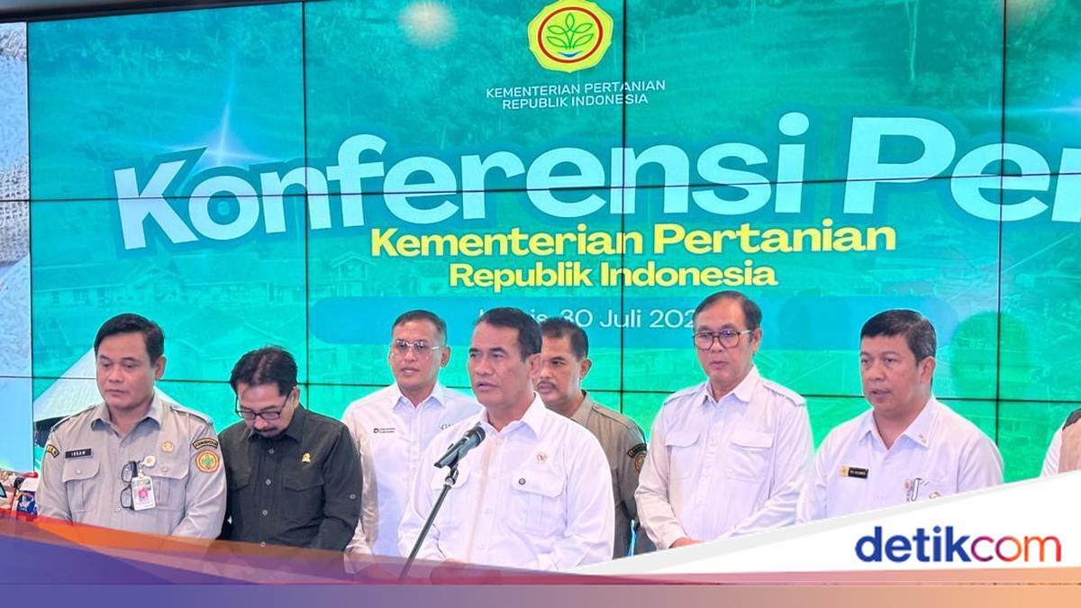 Mentan Jamin Stok Beras Aman Lewati El Nino, Segini Besarnya