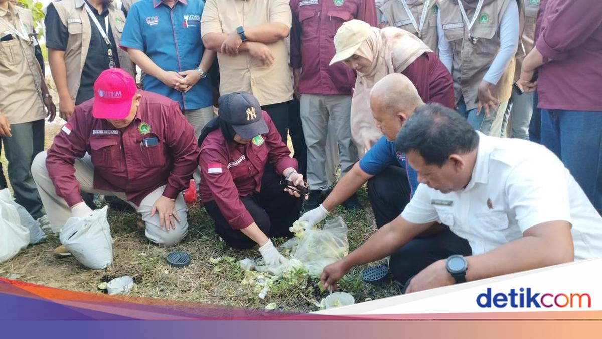 Program Biopori di 17 Desa Lamongan Jadi Solusi Efektif Cegah Banjir