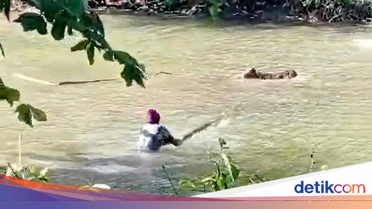 Situ Habibie Sukabumi Jadi Sarang Buaya, Ternak Warga Dimangsa