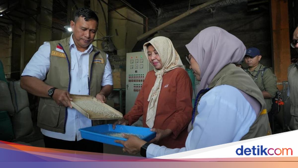 Tinjau Penggilingan di Jateng, Dirut BULOG: Kualitas Jadi Kunci Kelola CBP