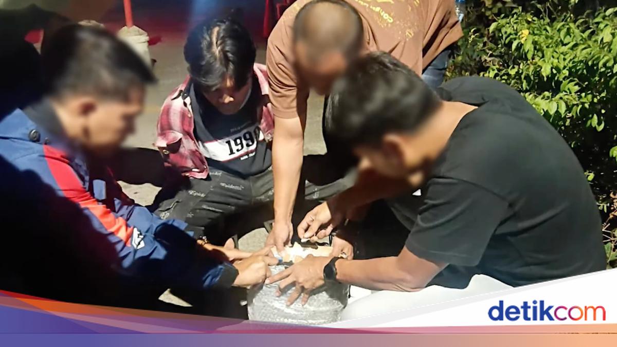 Bareskrim Bongkar Peredaran Ganja Lewat Medsos, 2 Pengedar Ditangkap
