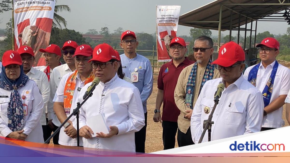 Pemprov DKI Kucurkan Rp 1 T Sulap 100 Ha Lahan di Banten Jadi Peternakan