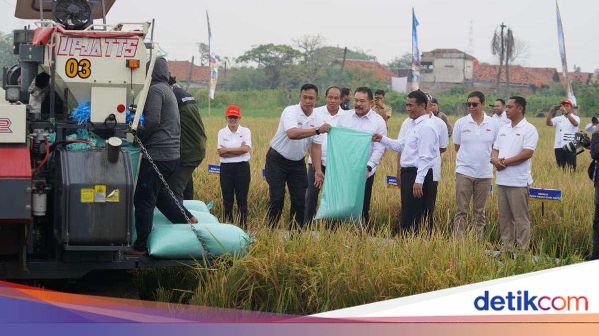 Kawal Ketahanan Pangan, Kejagung Luncurkan Early Warning System Jaga Desa