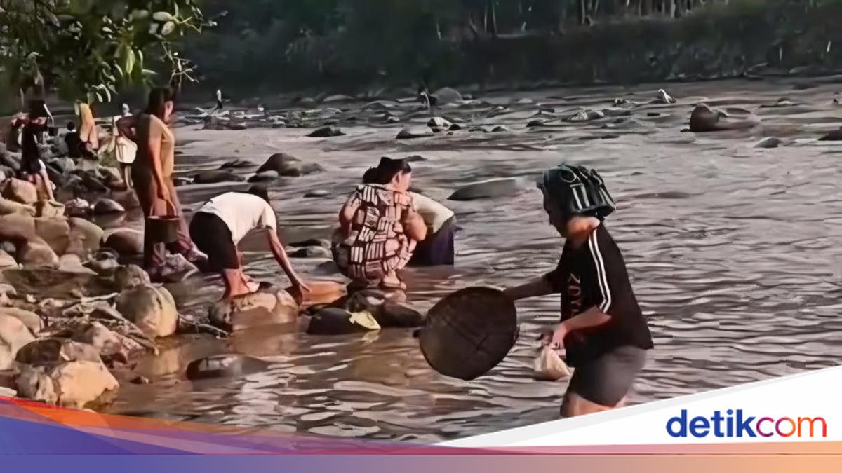 Viral Sungai Cikaniki di Bogor Tercemar, Polisi dan Pemkab Selidiki