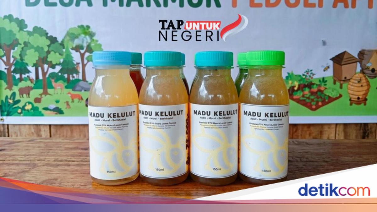 TAP Untuk Negeri Buka Akses Pasar Madu Kelulut UMKM Muara Lesan