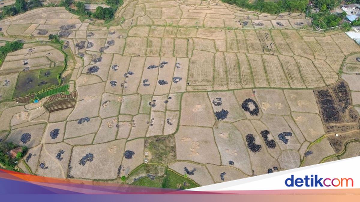 Hujan Buatan Jadi Harapan Saat Kemarau Berkepanjangan