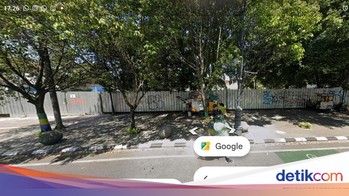 Picu Amarah Walkot Farhan, Ini 10 Pohon Depan Lapangan Padel Sebelum Ditebang