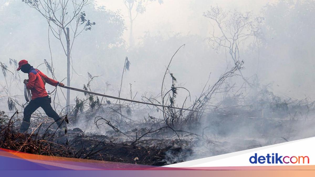 BNPB Sebut Titik Panas Karhutla di Kalimantan Meningkat, Prioritaskan OMC