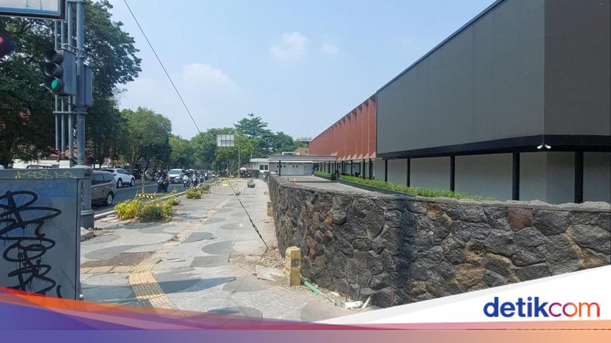 Pengelola Padel Buka Suara soal Penebangan Pohon yang Picu Murka Walkot Farhan