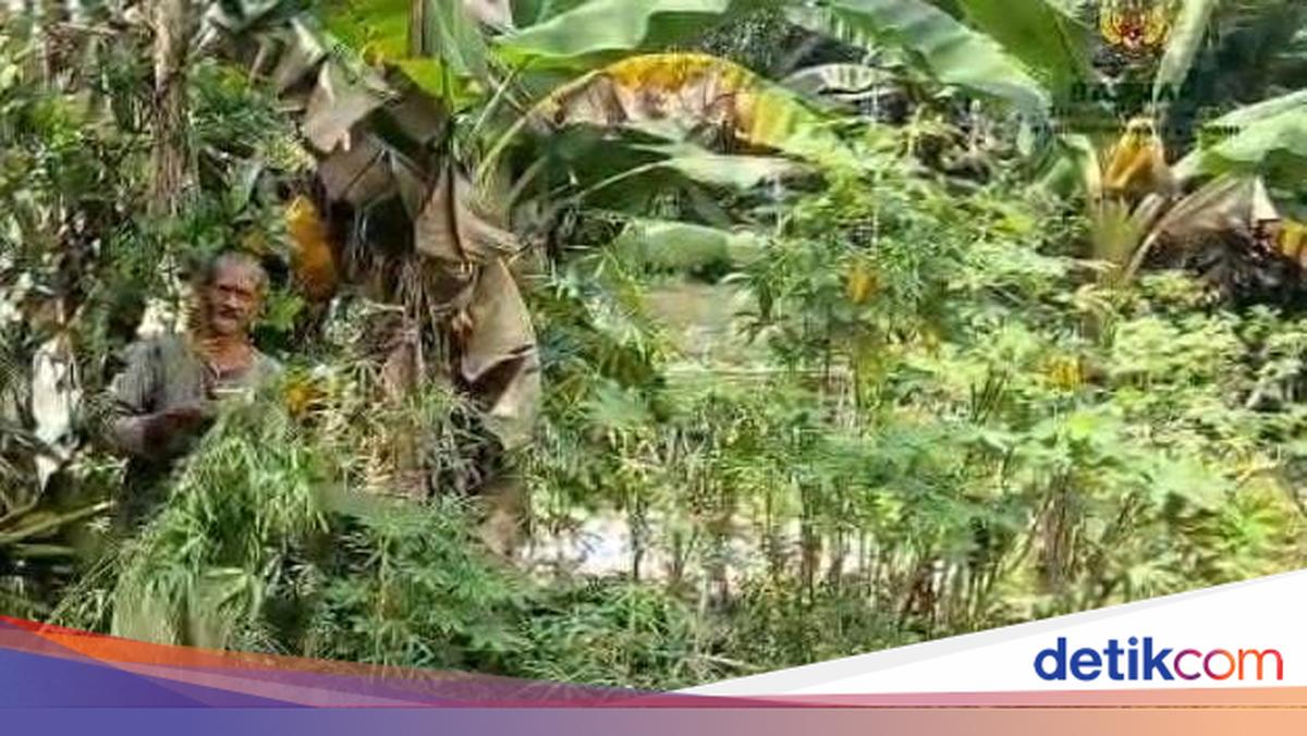 Ditjenpas Jambi Gandeng Baznas Berdayakan Napi Renovasi Rumah Warga