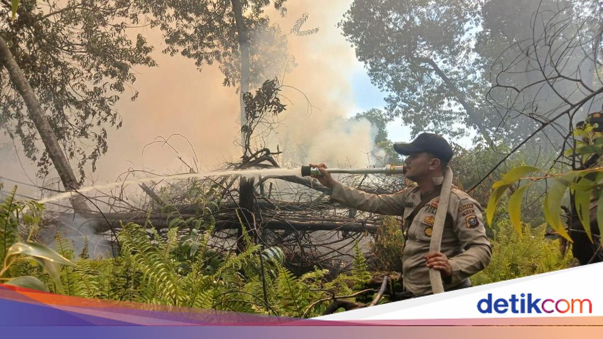 Polisi-TNI Padamkan Karhutla di Pelalawan, Heli Water Bombing Diturunkan