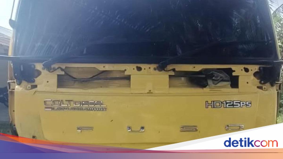 Truk Angkut Kayu Illegal Logging Dicegat di Pelalawan, 2 Pelaku Ditangkap