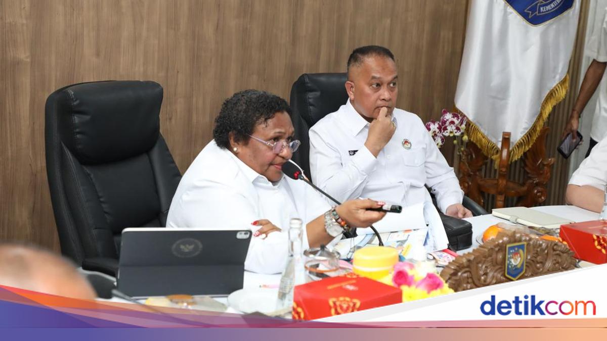 Wamendagri Minta Pemda Papua Pastikan Penyaluran Dana Otsus Tepat Waktu