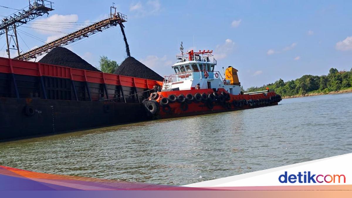Batu Bara Hasil Sitaan Laku Dilelang Rp 20,97 Miliar