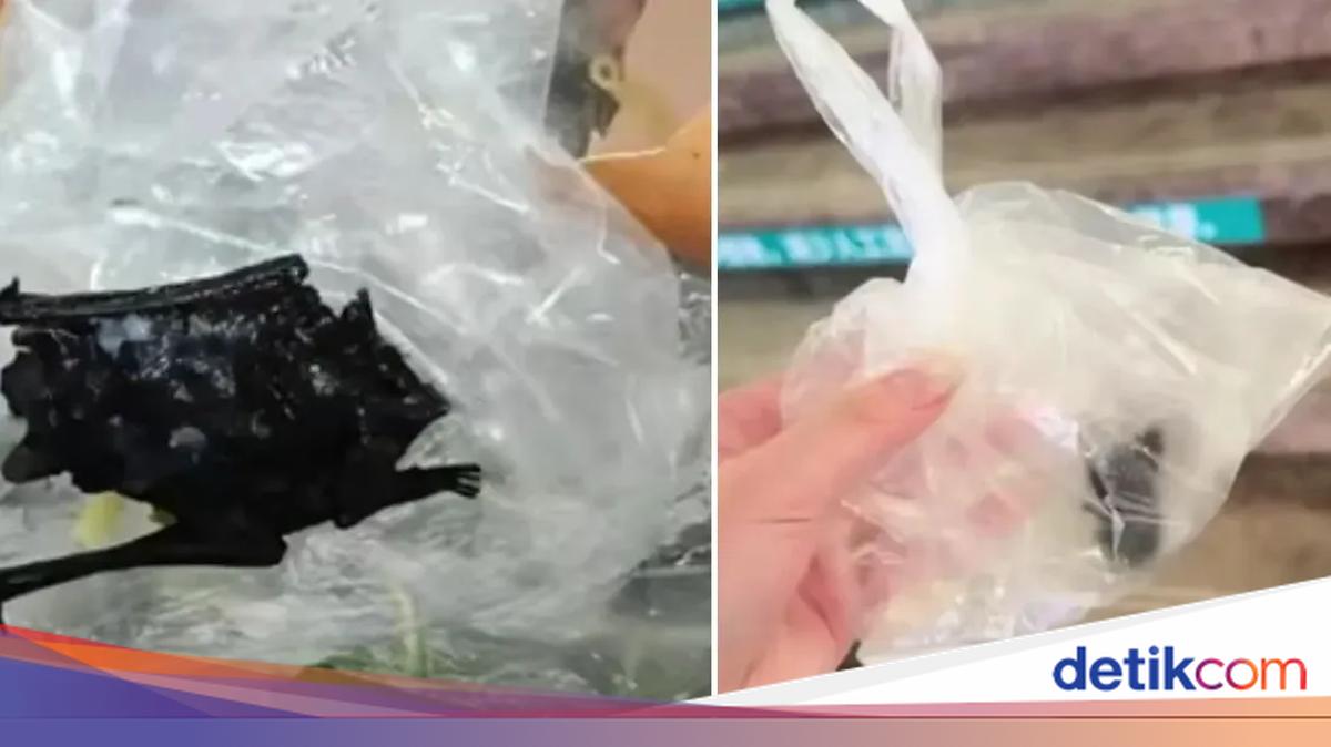 Diduga Gegara Kelelawar di Makanan Restoran, Bocah Ini Masuk RS!