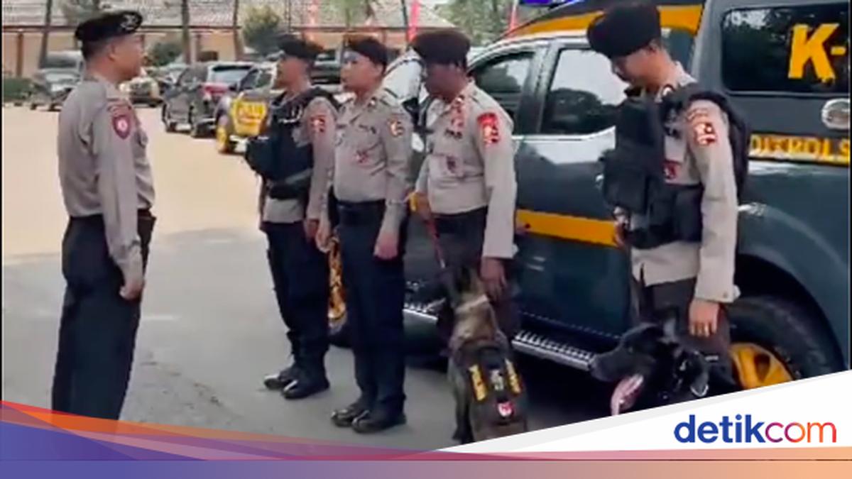 2 Anjing K9 Polri Cari Kaki Korban Mutilasi di Depok: Roby dan Dasa