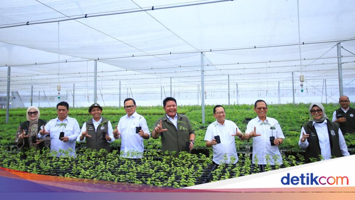 Herman Deru Dorong Penguatan Sinergi untuk Jaga Kelestarian Hutan Sumsel