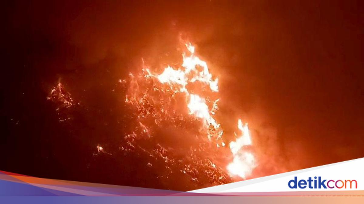Awal Mula Kebakaran Bromo yang Meluas hingga Kini Ditutup Total