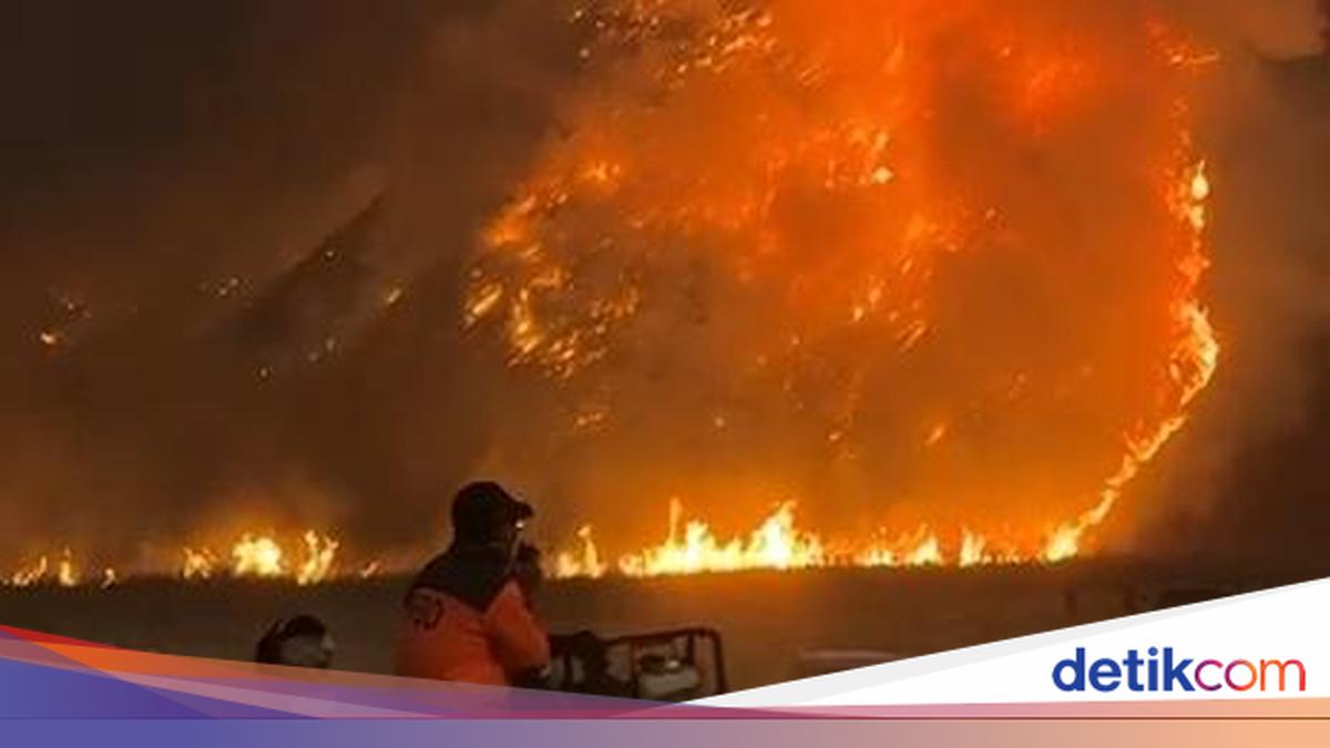 Kebakaran Meluas, Kawasan Wisata Bromo Ditutup Total