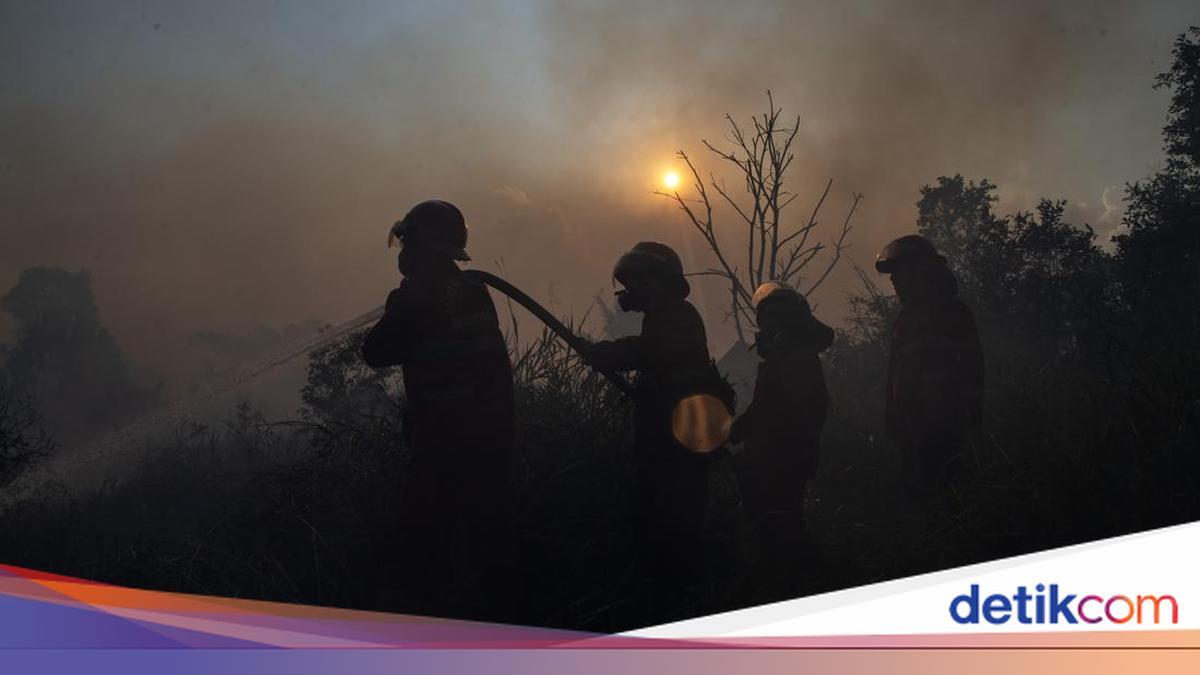 Prabowo Setujui Penambahan 500 Sumur Bor dan 500 APD untuk Karhutla Sumsel