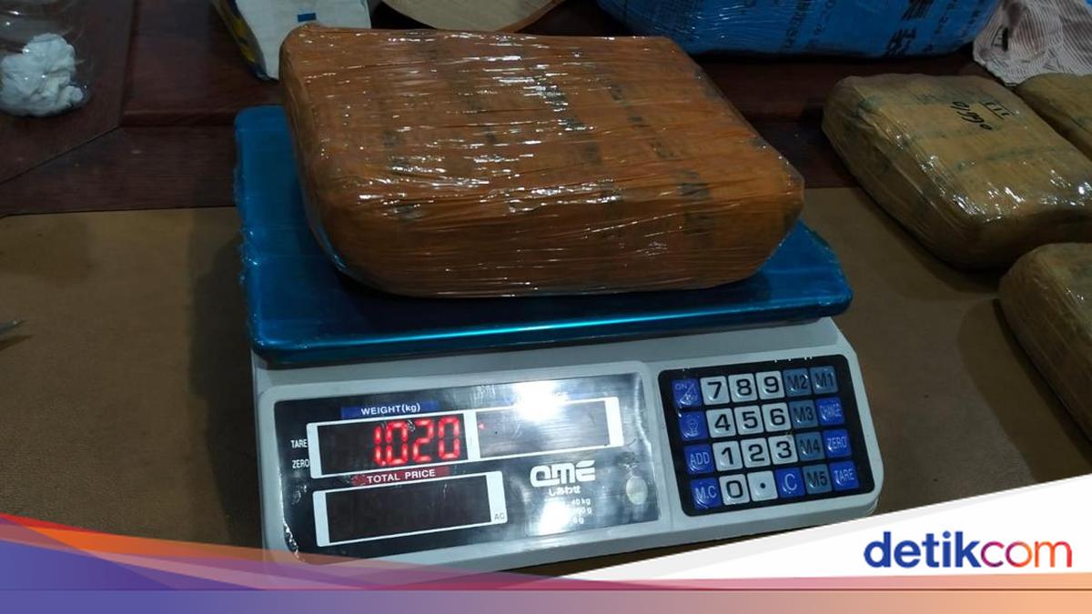 Bareskrim Polri Tangkap 3 Wanita Kurir Narkoba di Riau, 10 Kg Sabu Disita