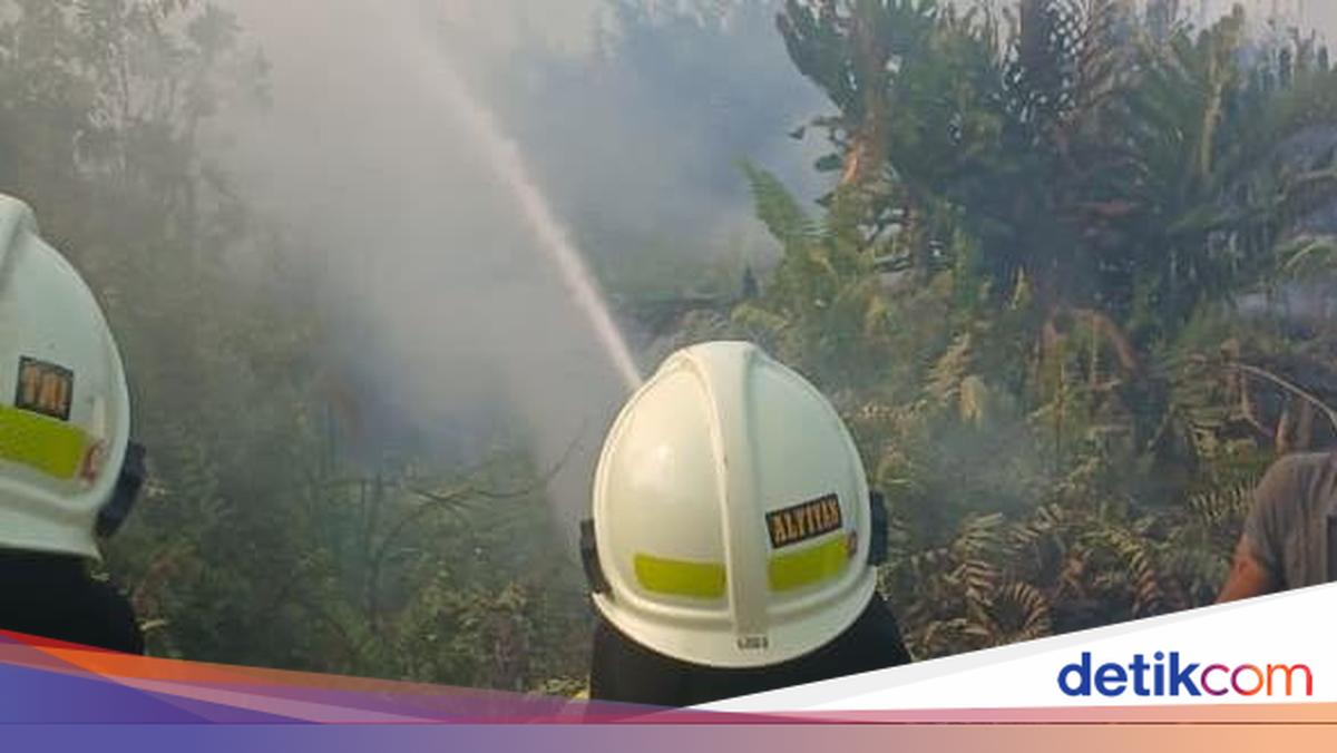 Kebakaran Dekat Stasiun Kampung Bandan yang Ganggu Arus KRL Dipicu Bara Rokok