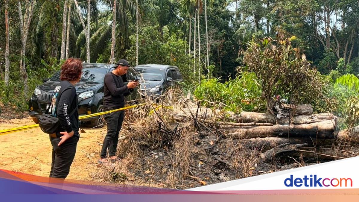 Ulah Pria Bakar 1,5 Hektare Lahan di Inhu dengan Dalih Usir Nyamuk
