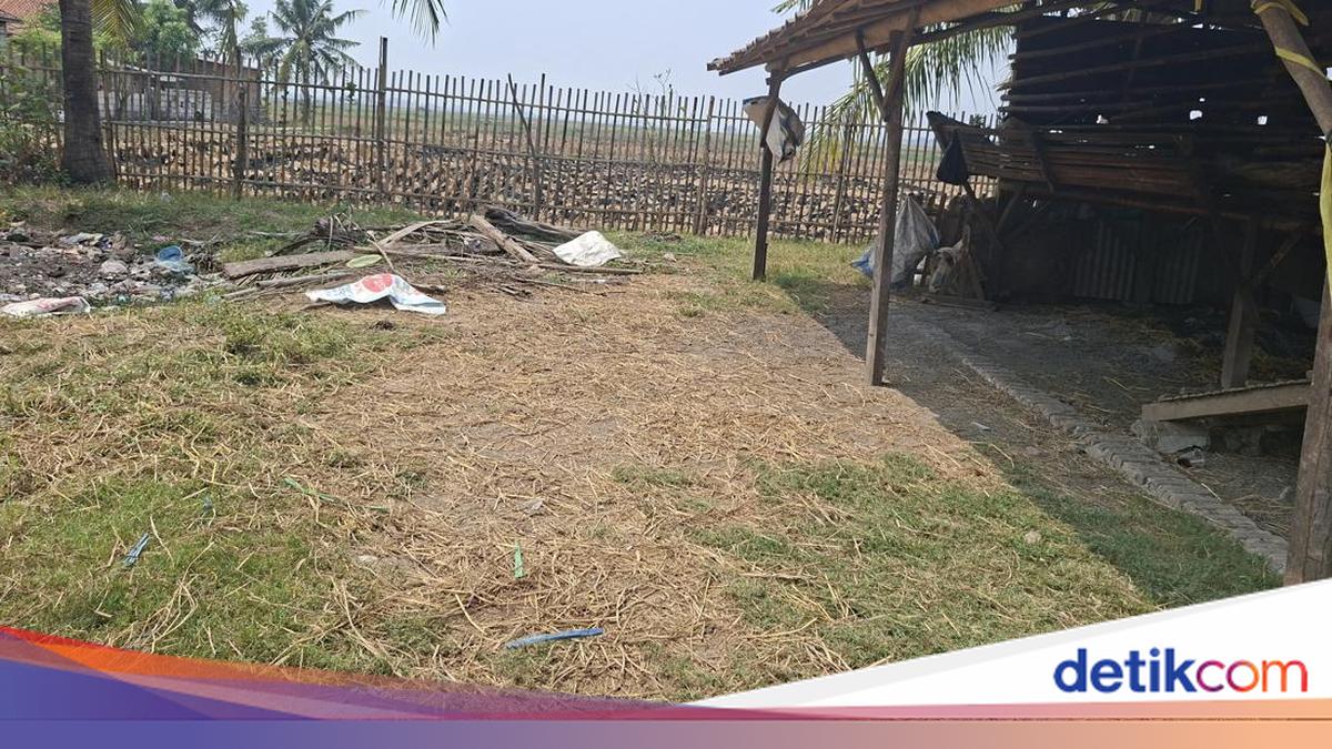 Polisi Selidiki Kasus 36 Kambing Disembelih, Pelaku Diduga Lebih dari 1 Orang
