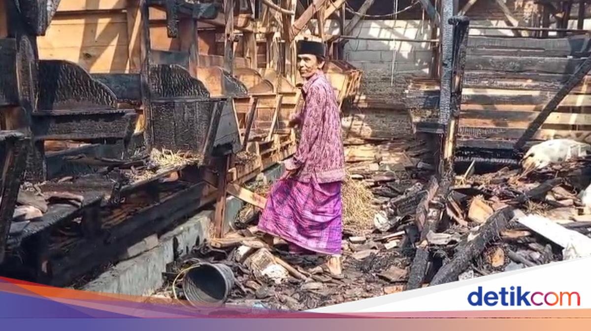 Kebakaran Kandang di Pandeglang, 100 Kambing Terpanggang