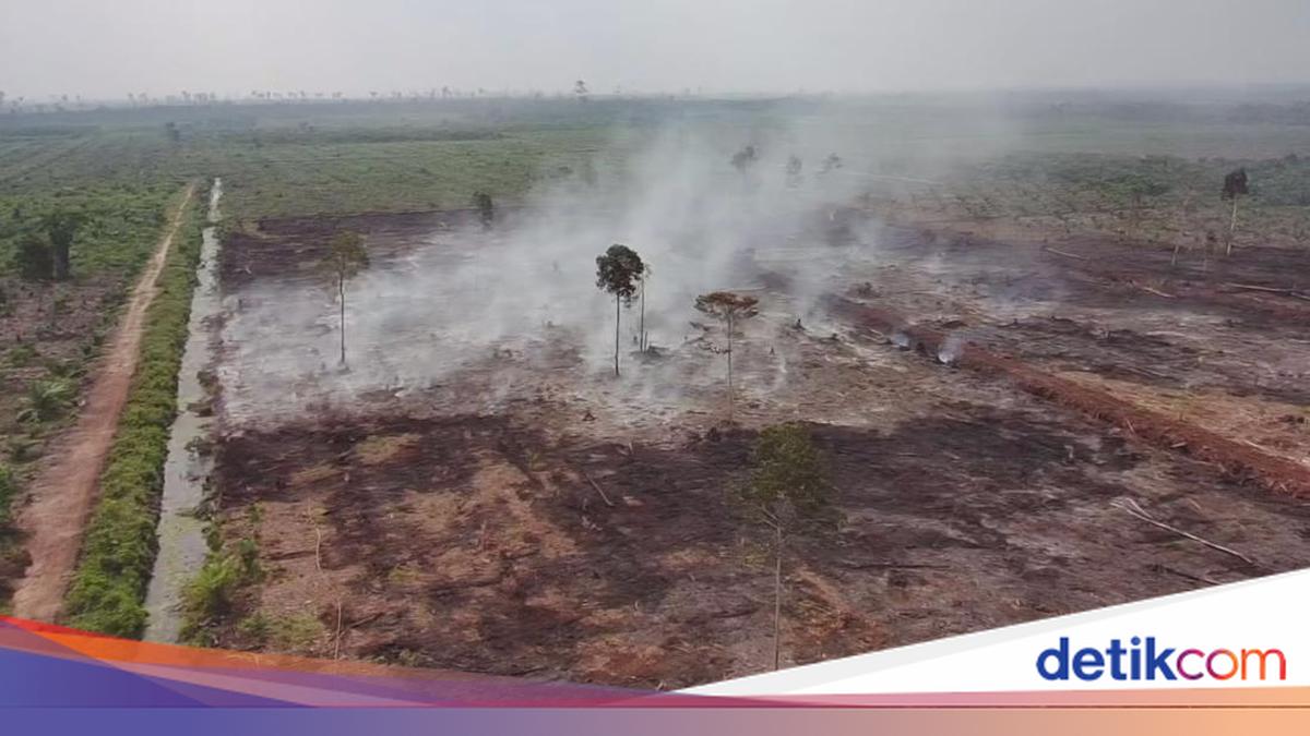 Polda Riau Tetapkan 2 Tersangka Kasus Karhutla di Area HGU Bengkalis