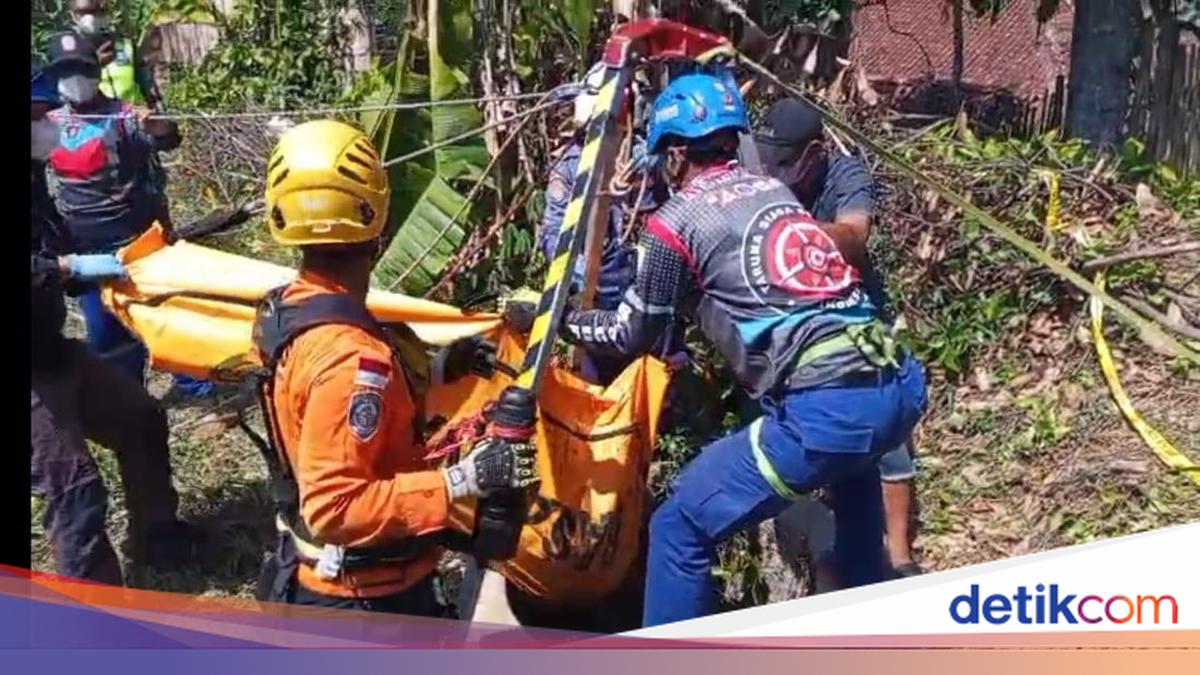 Momen Kobra Sembunyi di Balik Jasad Wanita Tasikmalaya Saat Hendak Dievakuasi