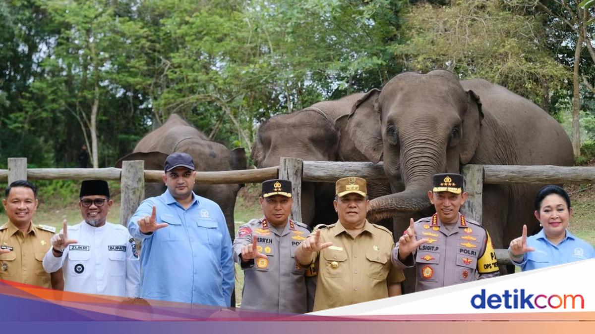 Anggota DPR RI Rajiv Minta Pemerintah Anggarkan Vaksin untuk Anak Gajah