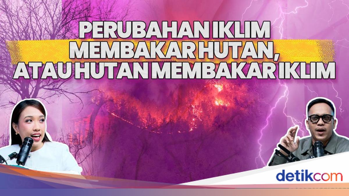 Peningkatan Karhutla, Dampak Iklim atau Ulah Manusia?