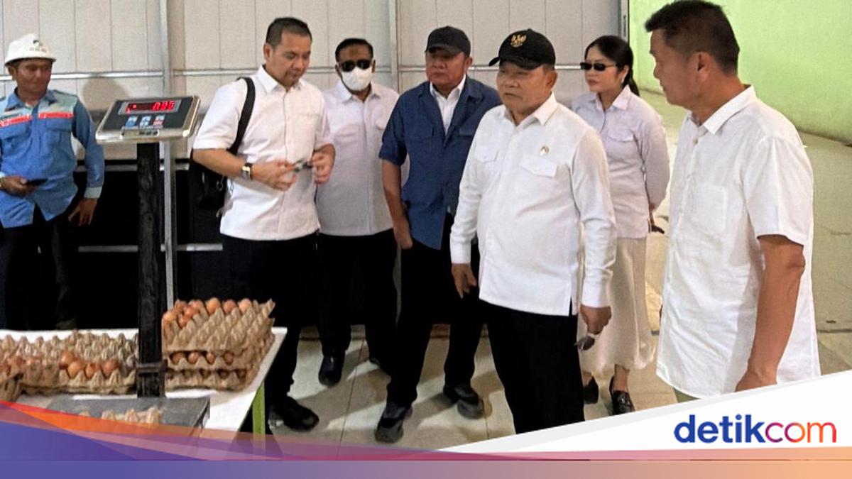Herman Deru Pastikan Stok Telur untuk Dukung Program MBG di Sumsel