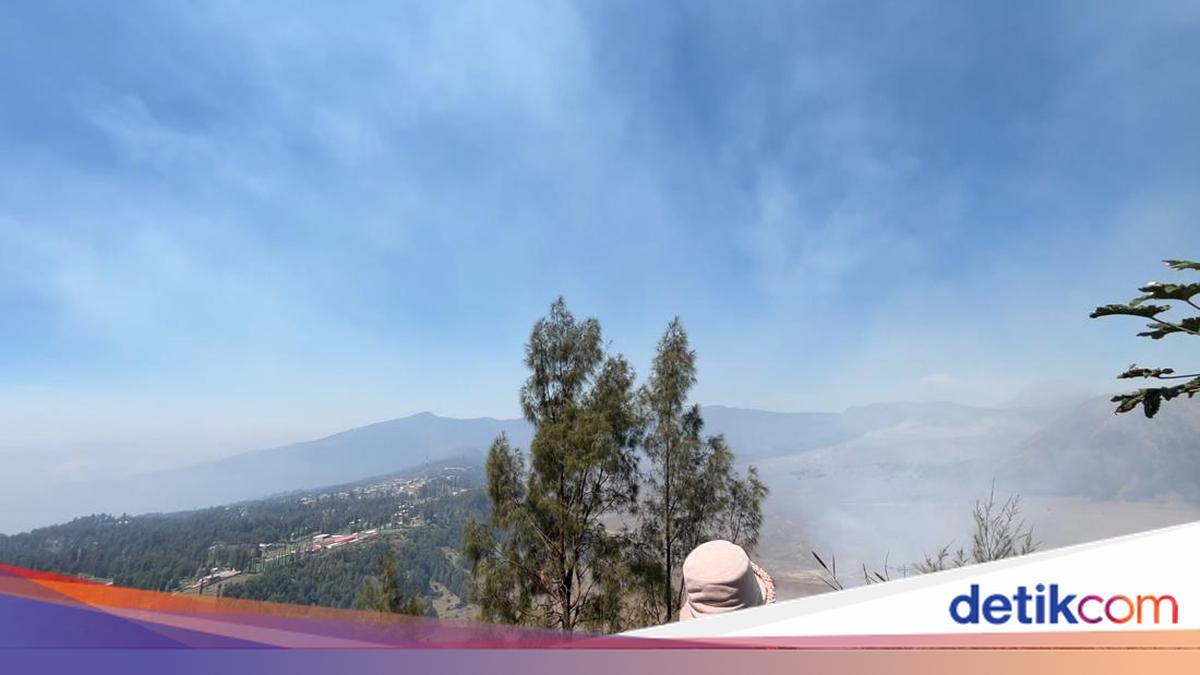 Kebakaran Bromo Merambat ke Bukit Kedasih, Wisata Sky Bridge Ditutup