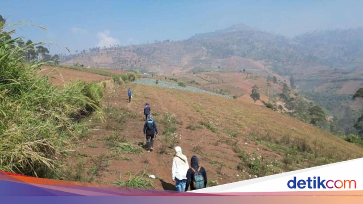 Pemprov Jabar Perkuat Langkah Pencegahan Karhutla Saat Musim Kemarau