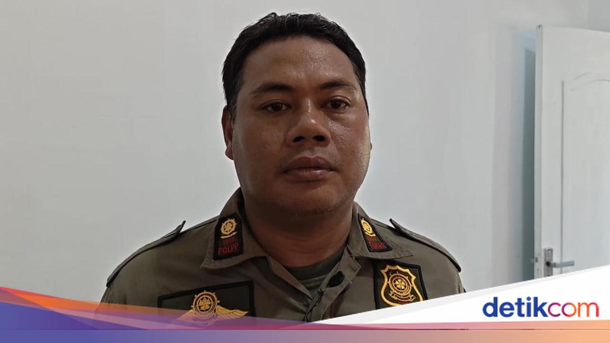 Satpol PP Pinrang Minta Maaf Usai Viral Tonjok Sopir Ambulans Saat Karnaval