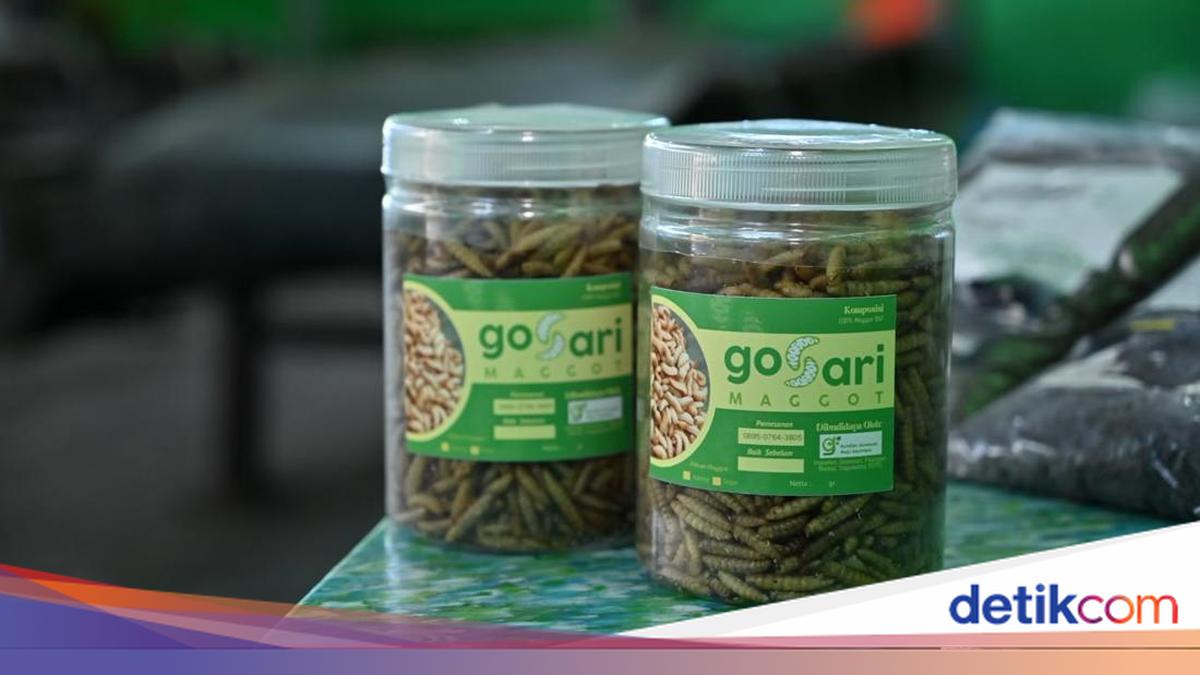 Dari Sampah Jadi Penghasilan, GO-SARI Gerakkan Ekonomi Sirkular Warga Bantul