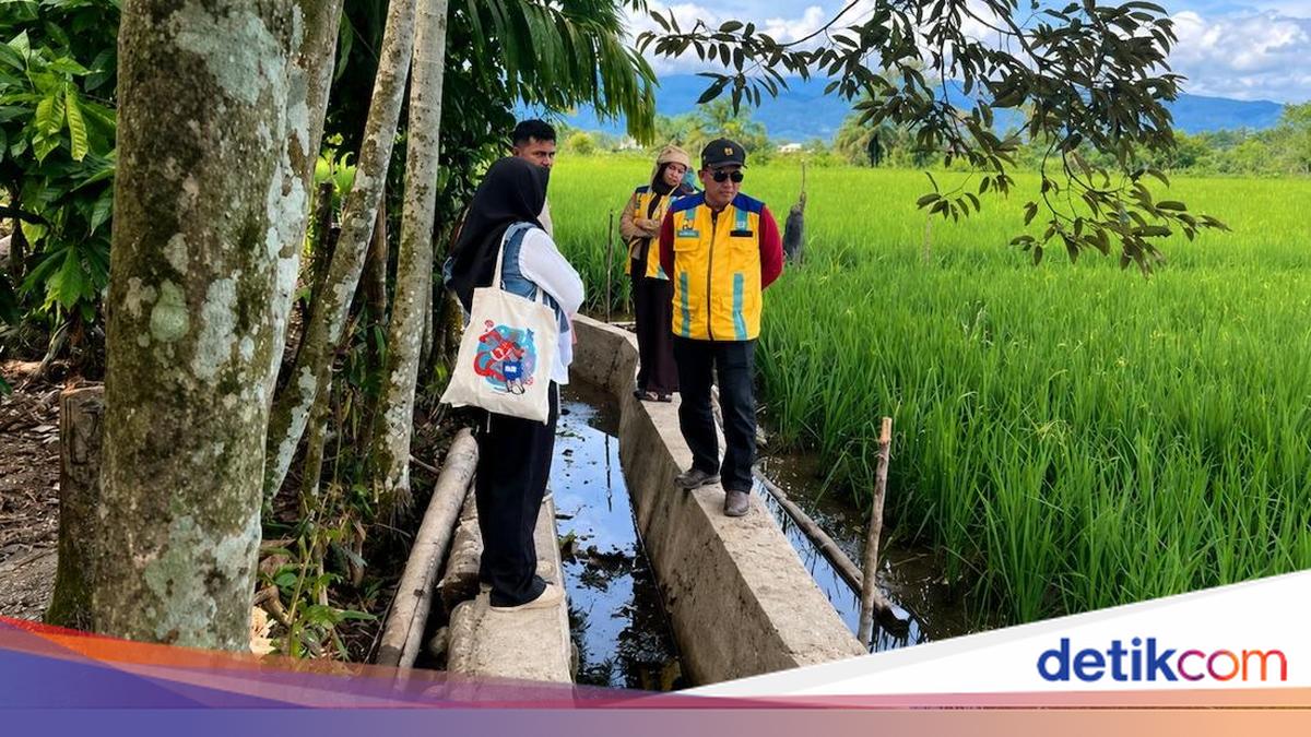 Musim Tanam Tiba, Nagan Raya Manfaatkan Dana TKD untuk Rehabilitasi Sawah
