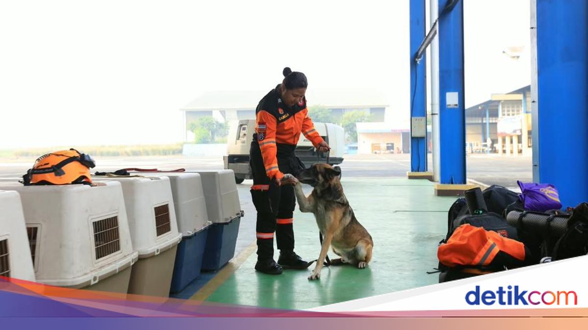 Mabes Polri Turunkan K9 dan 2,5 Ton Logistik ke Lokasi Gempa NTT