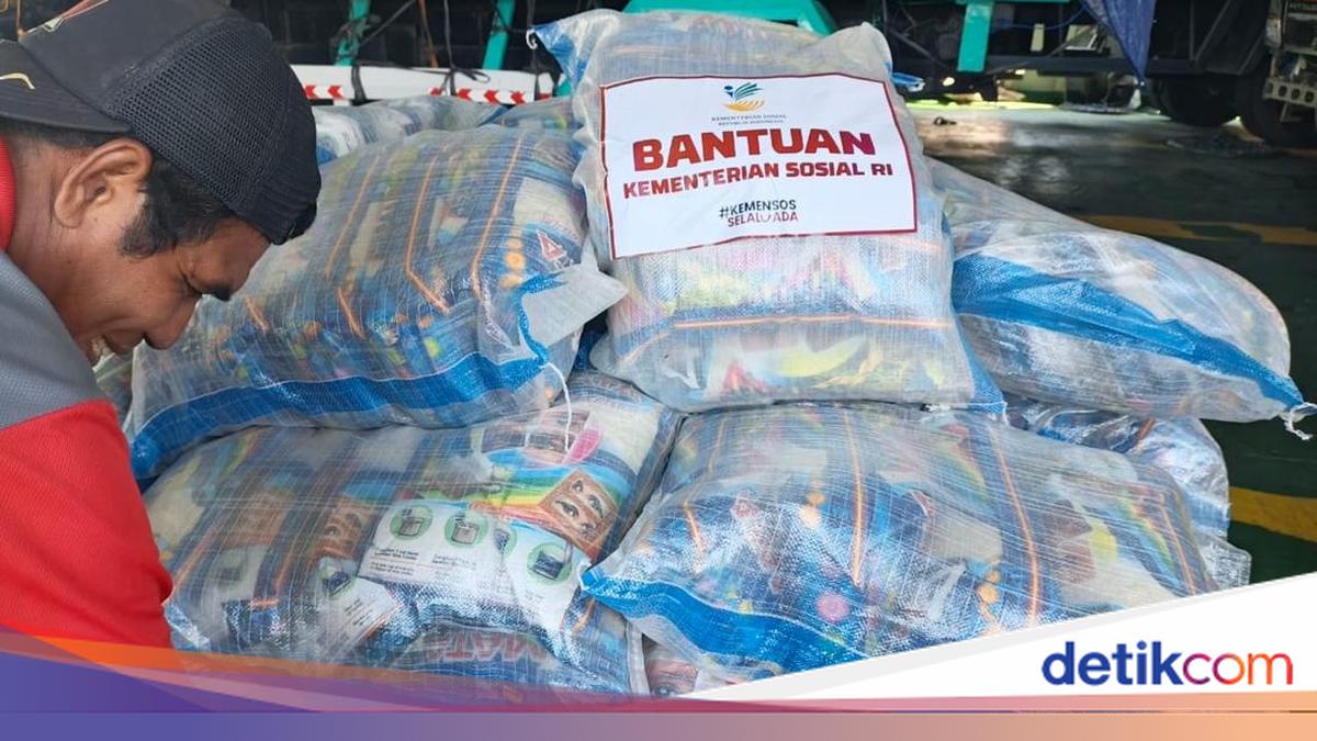 Bantu Korban Gempa NTT, Kemensos Kirim Bantuan Logistik ke Pulau Palue