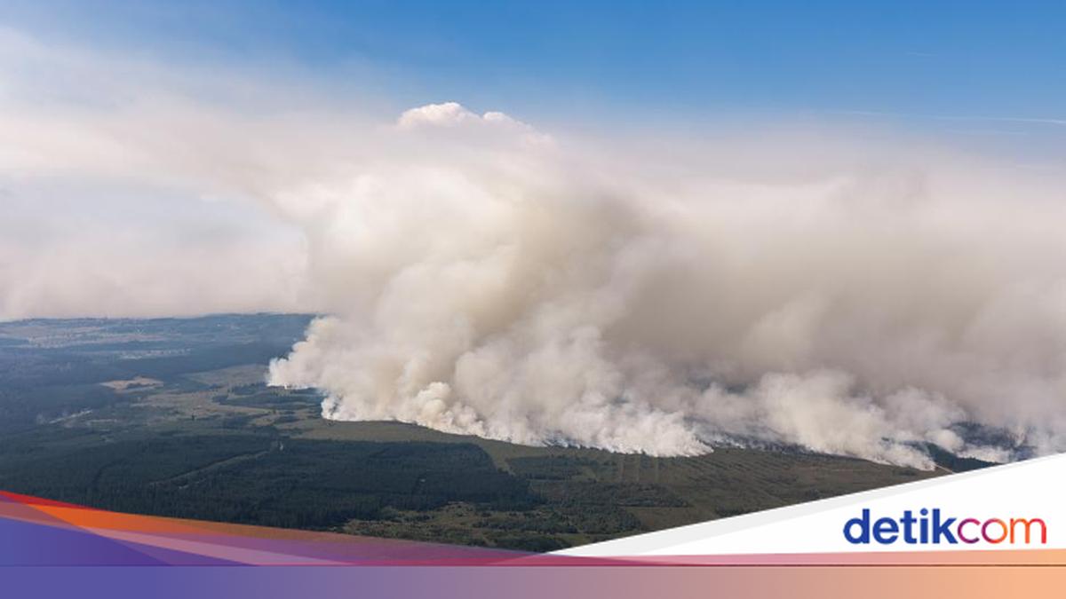 Kebakaran Hutan Terbesar di Belgia Terkendali Berkat Bantuan Eropa dan Hujan