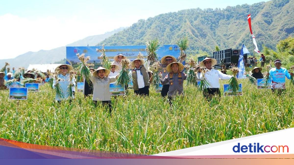 Kapolri dan Ketua Komisi IV DPR Juga Panen Raya-Groundbreaking Gudang Pangan di NTB